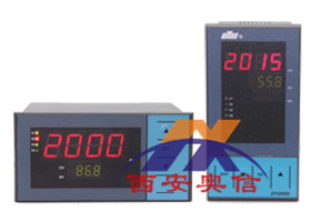 DY21GP01 東輝大延工頻變送控制儀 DY2000(GP)