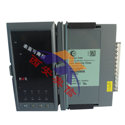 NHR-5320A-55/55-0/0/2/D1/2P-A 睙(rn) PIDoƃx 